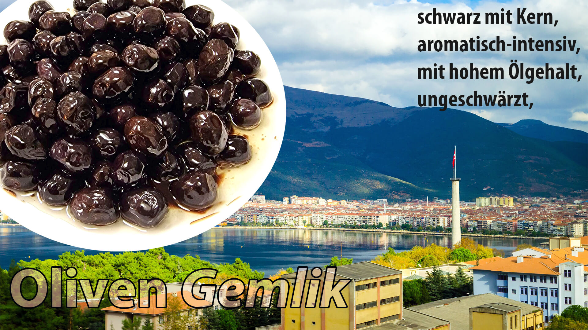 08 OlivenGemlik_2